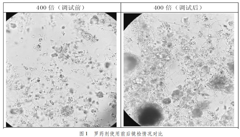 污水處理設備__全康環(huán)保QKEP