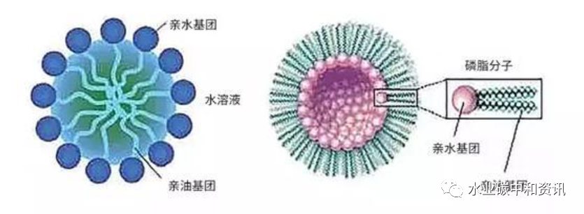 污水處理設(shè)備__全康環(huán)保QKEP