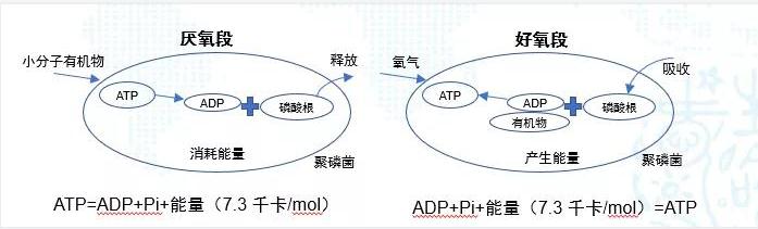 污水處理設備__全康環(huán)保QKEP