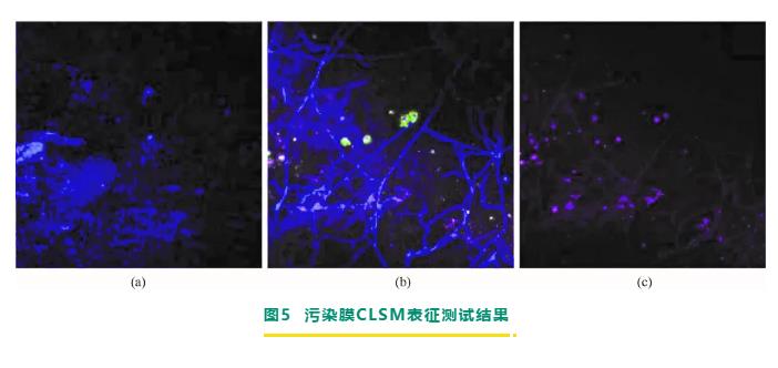 污水處理設備__全康環(huán)保QKEP