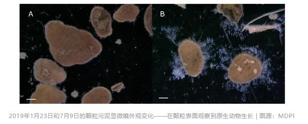 污水處理設(shè)備__全康環(huán)保QKEP