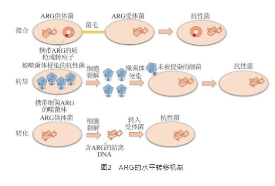 污水處理設(shè)備__全康環(huán)保QKEP