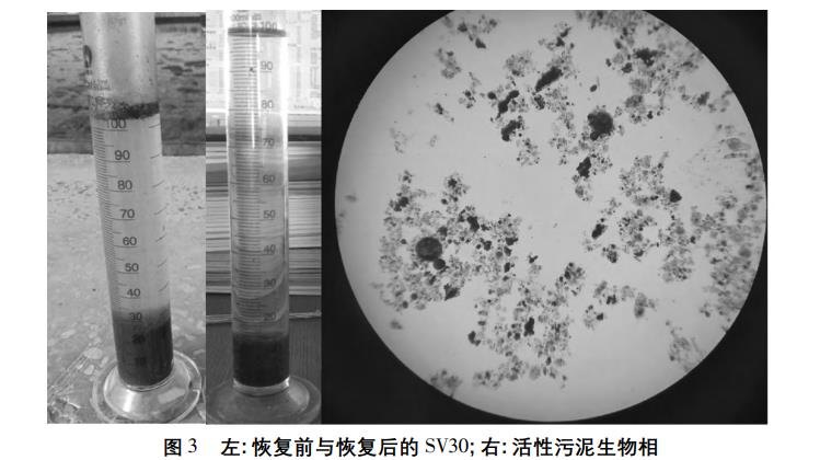 污水處理設備__全康環(huán)保QKEP