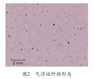 污水處理設(shè)備__全康環(huán)保QKEP