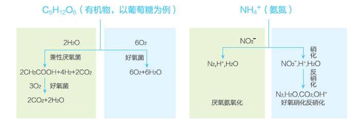 污水處理設備__全康環(huán)保QKEP